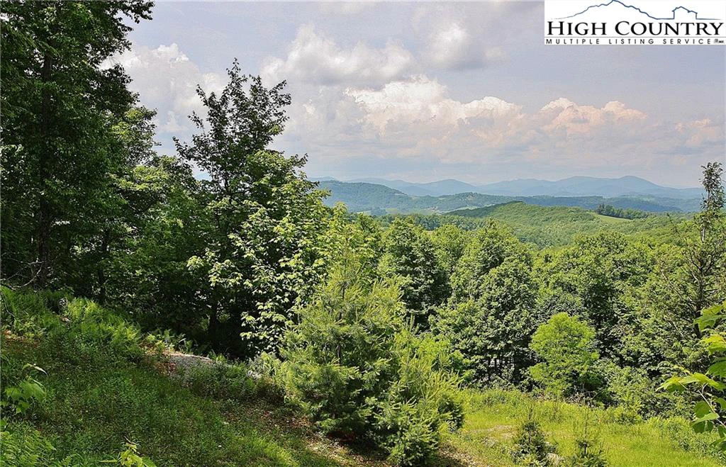 Image number 12 for the current listing