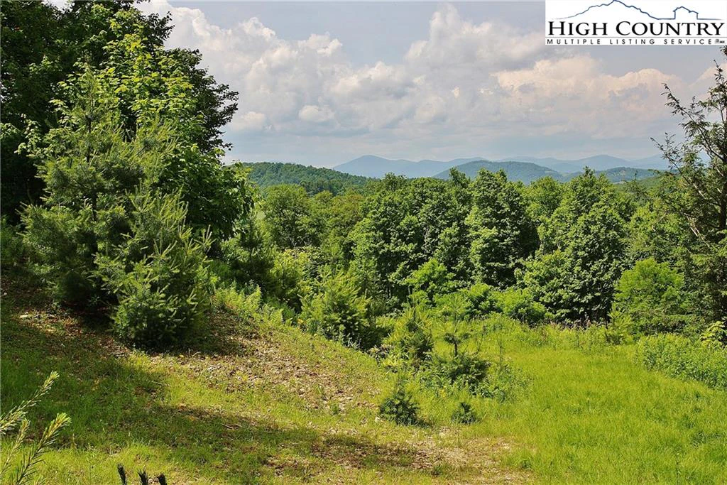 Image number 10 for the current listing