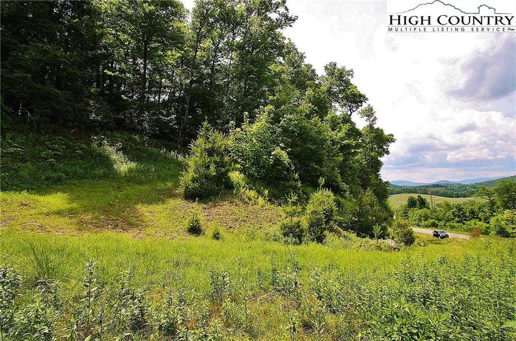Image number 9 for the current listing