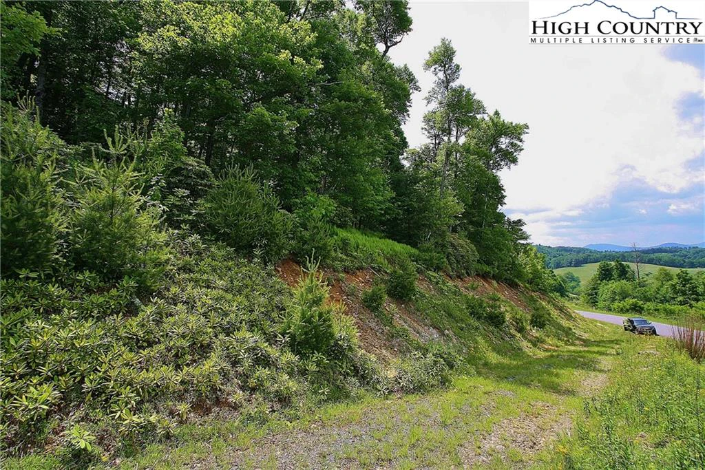 Image number 8 for the current listing