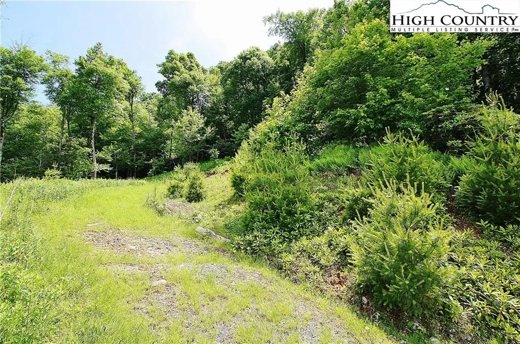 Image number 7 for the current listing