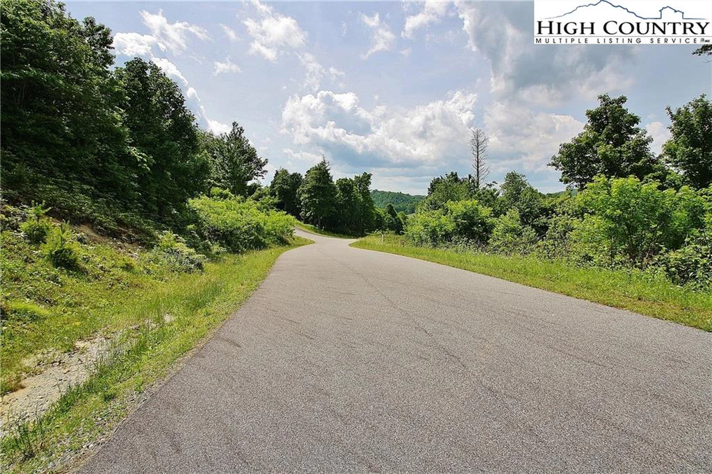 Image number 4 for the current listing
