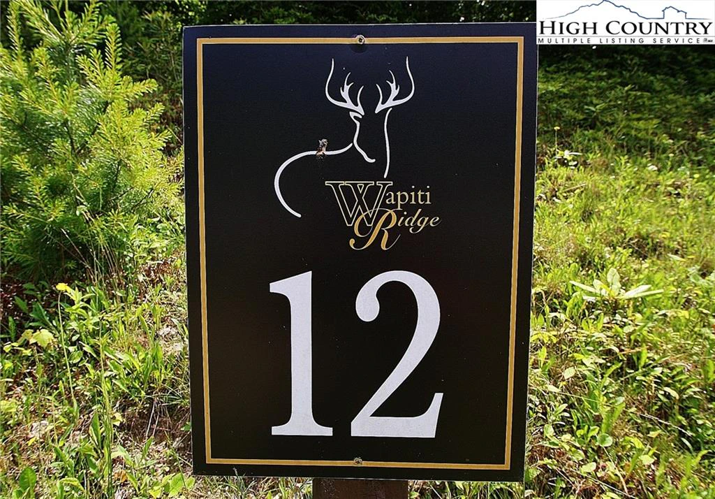 Image number 3 for the current listing