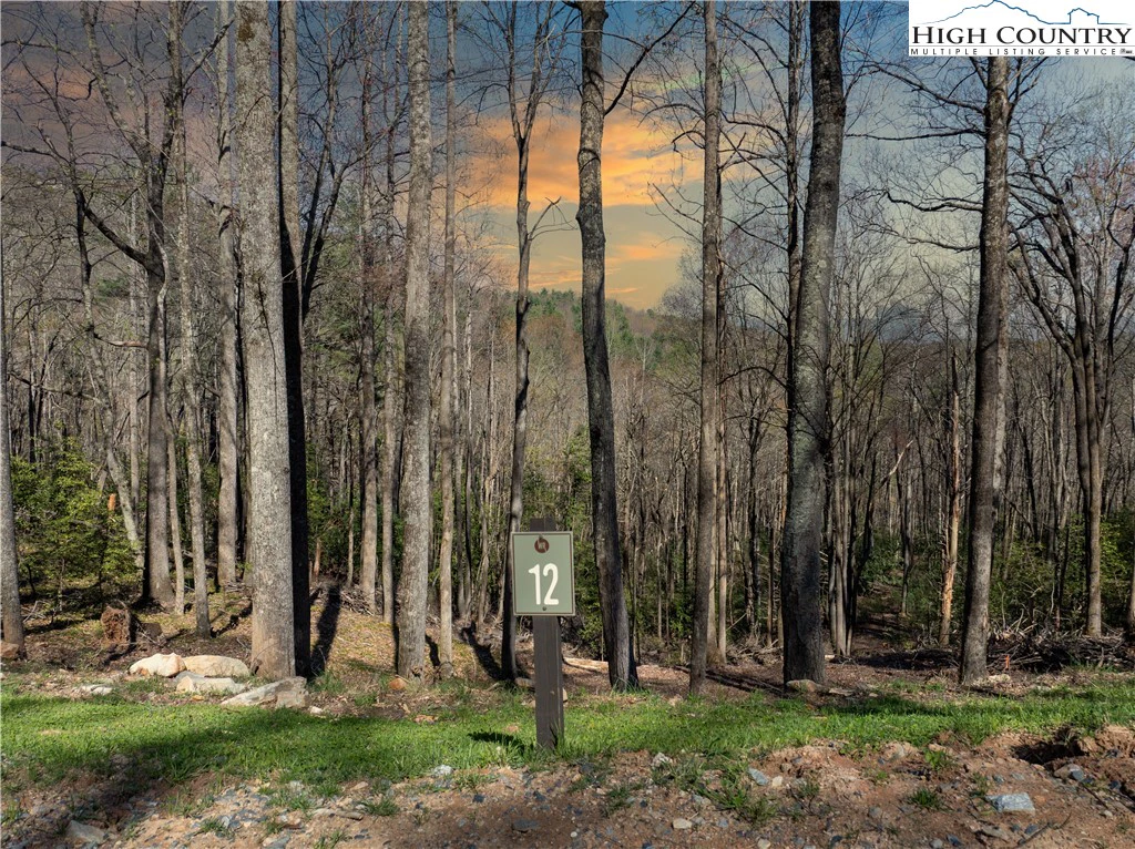 Image number 1 for the current listing