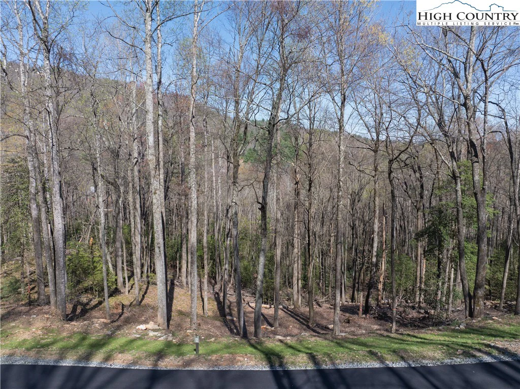 Image number 21 for the current listing