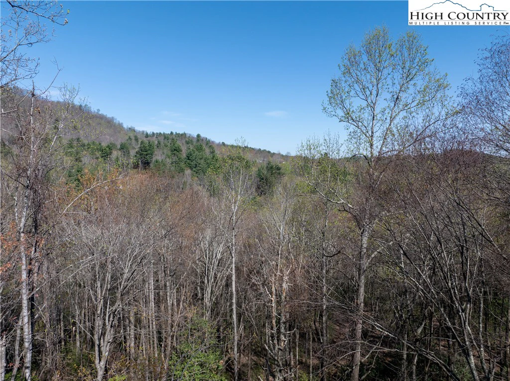 Image number 19 for the current listing