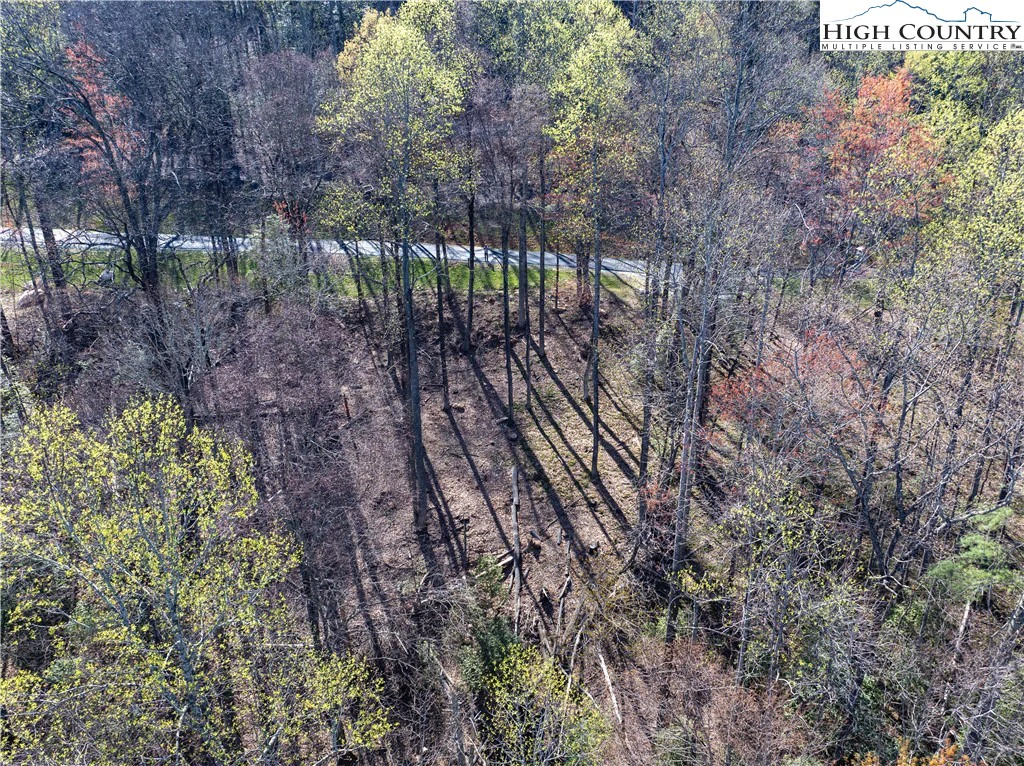 Image number 2 for the current listing