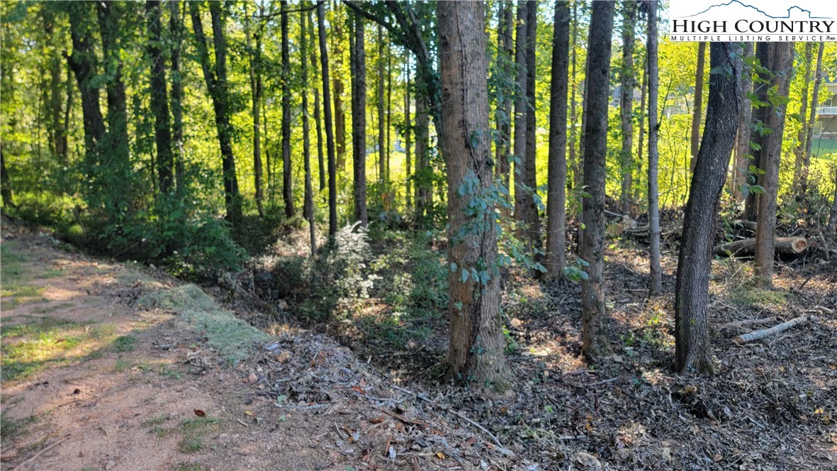Image number 1 for the current listing