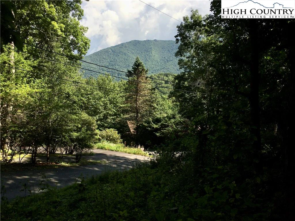 Image number 1 for the current listing