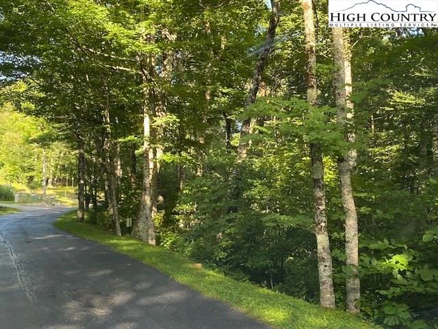 Image number 1 for the current listing