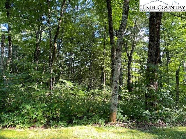 Image number 5 for the current listing