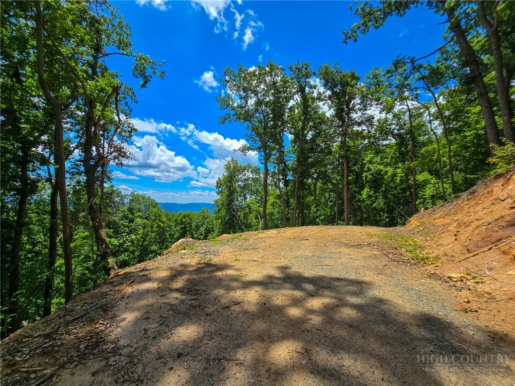 Image number 13 for the current listing