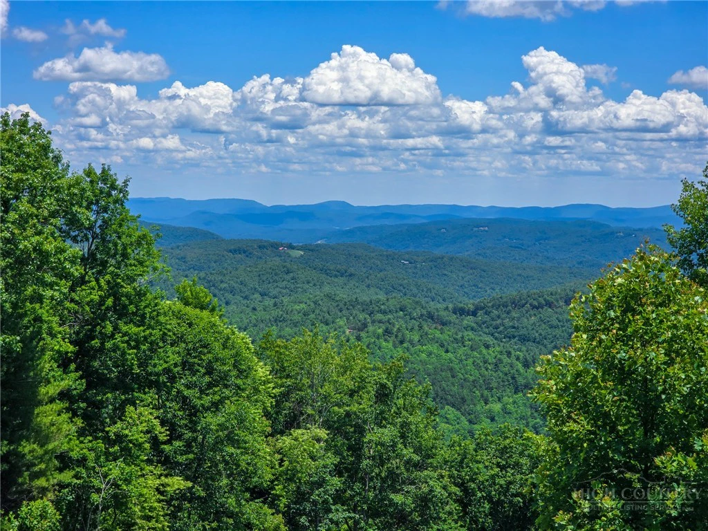 Image number 4 for the current listing