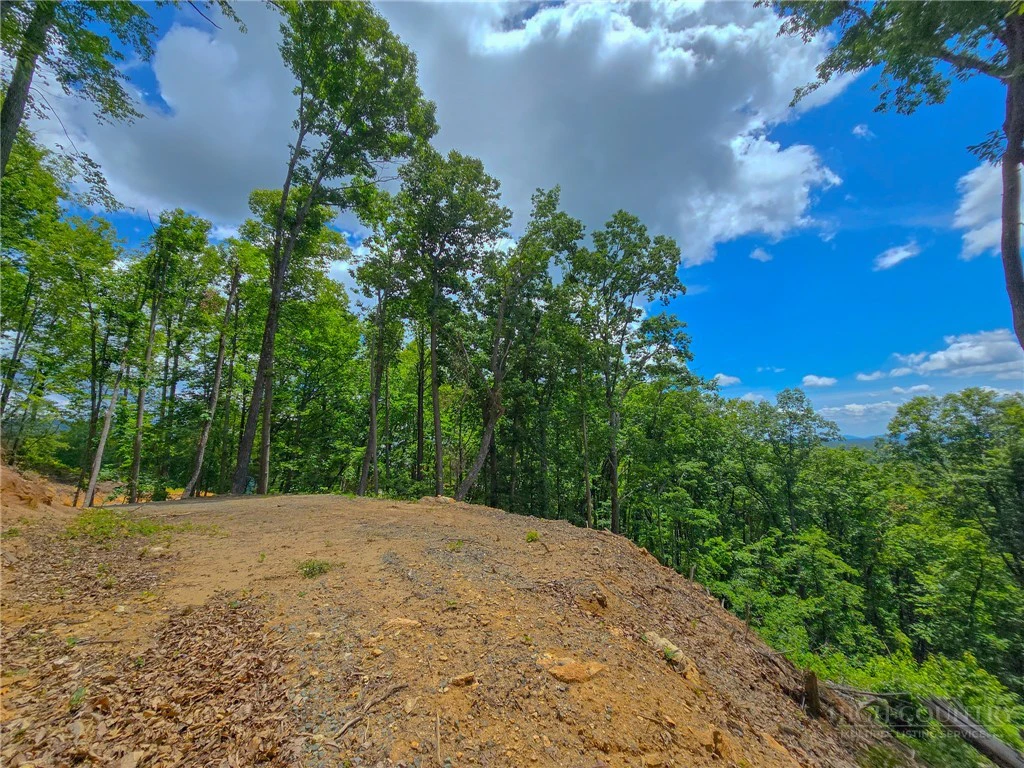 Image number 5 for the current listing