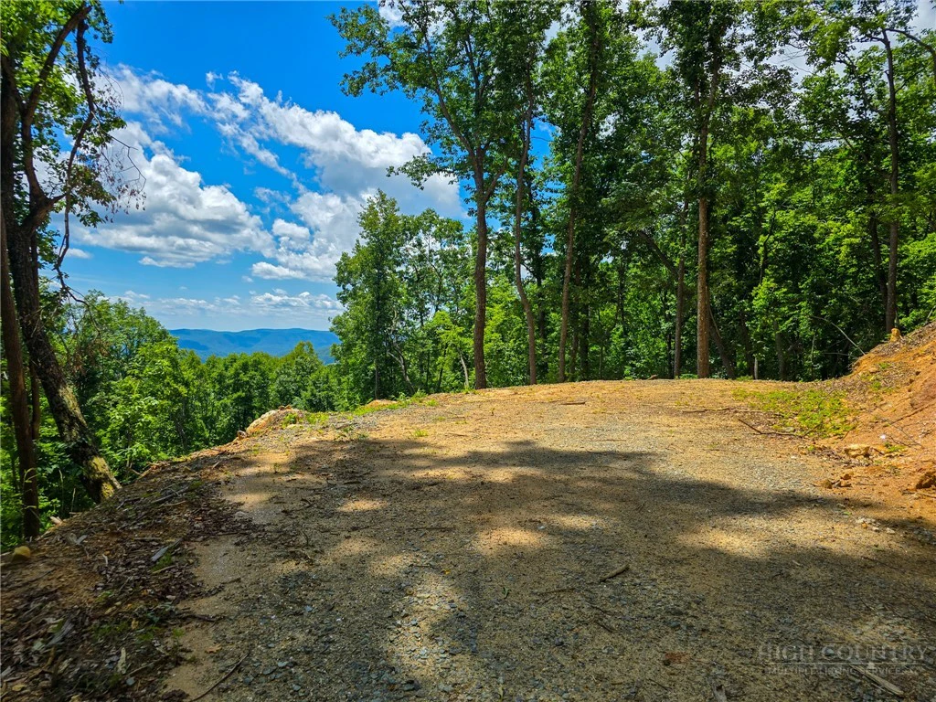 Image number 2 for the current listing