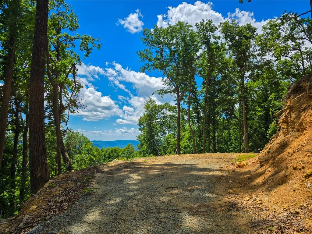 Image number 8 for the current listing
