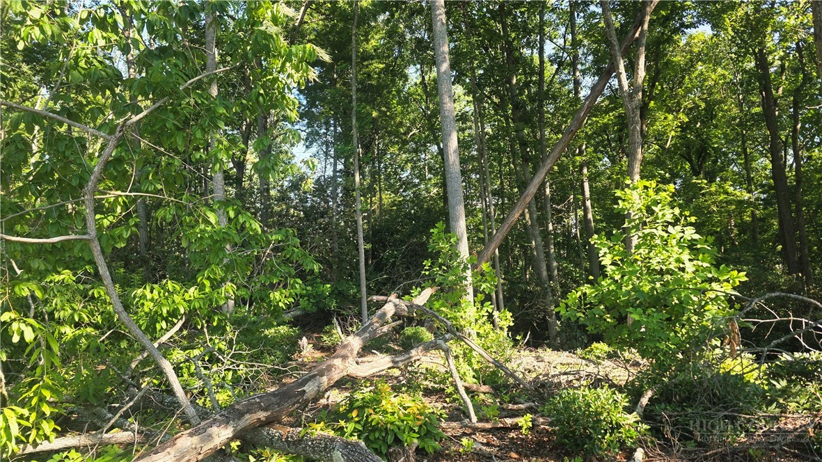 Image number 3 for the current listing