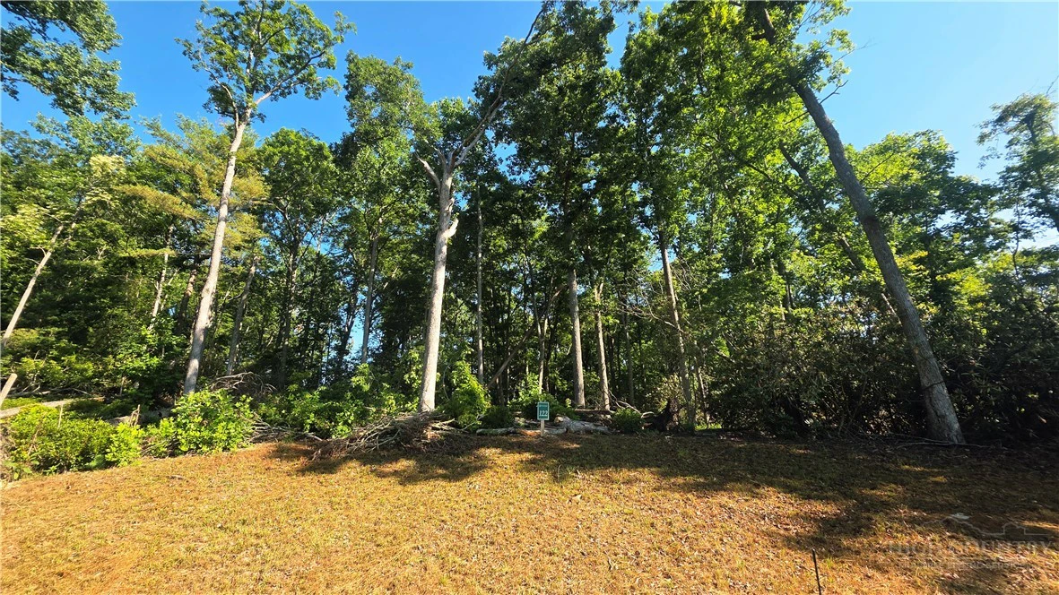 Image number 4 for the current listing