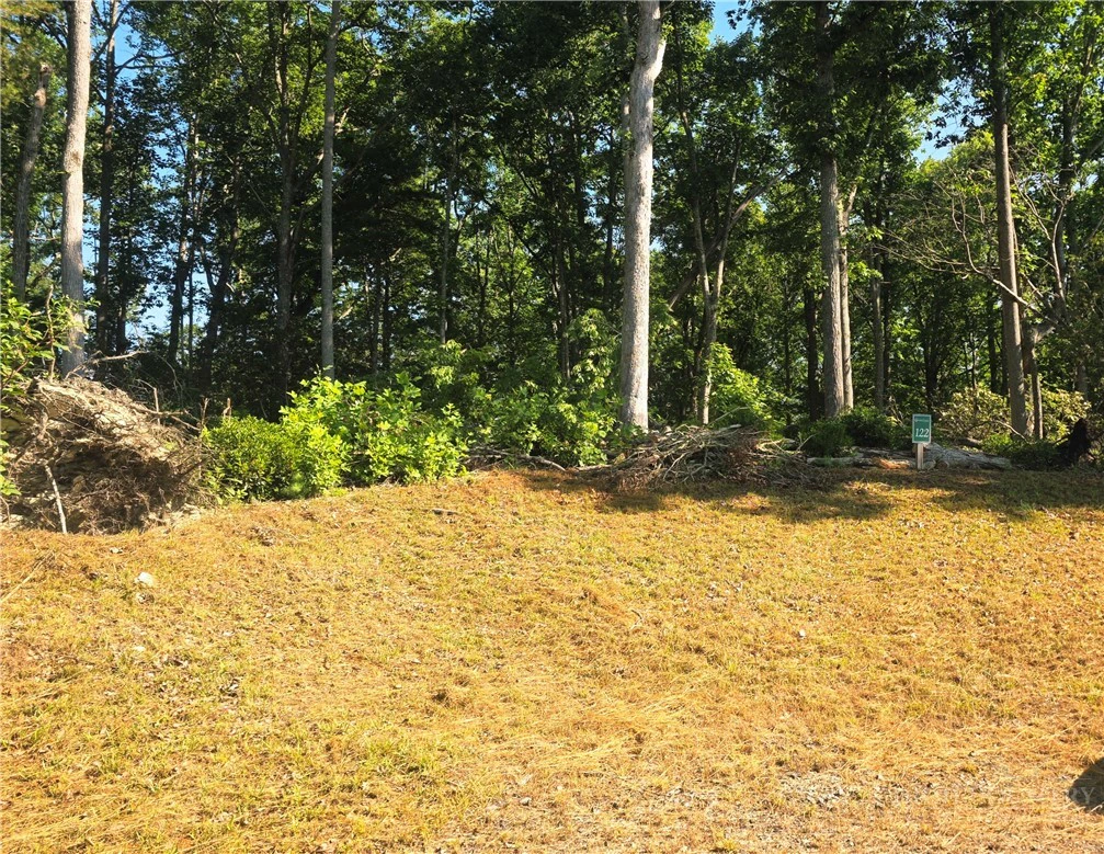 Image number 5 for the current listing
