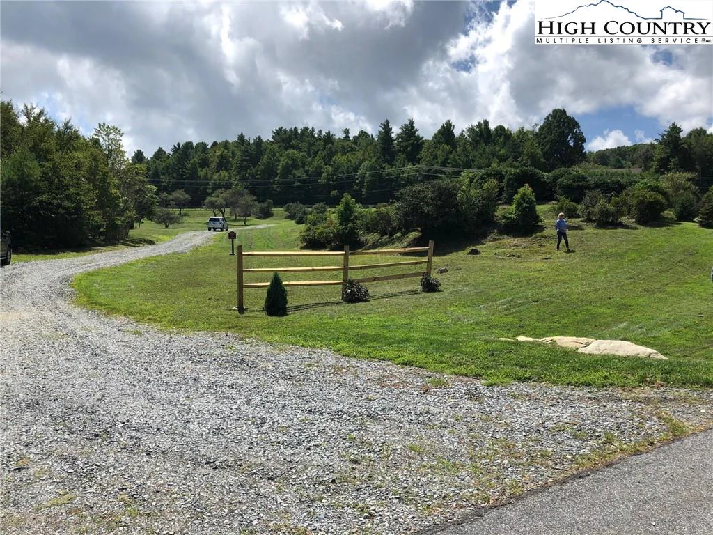 Image number 4 for the current listing