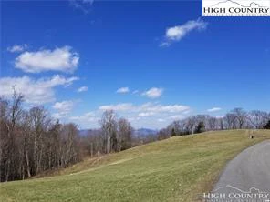 Image number 1 for the current listing