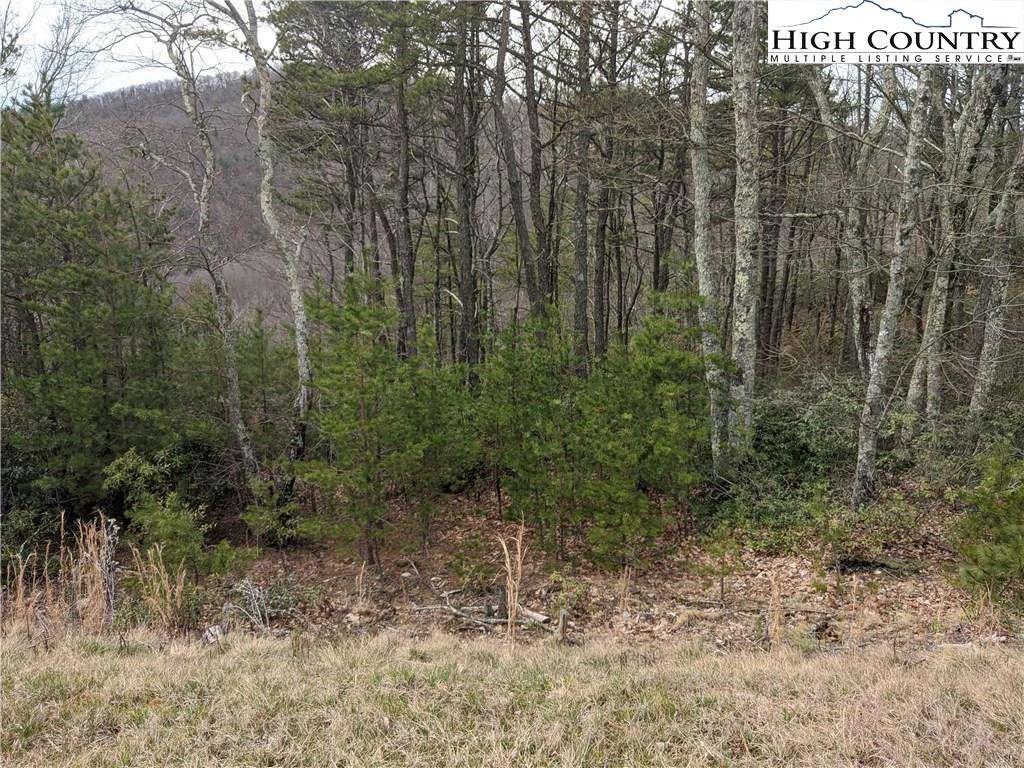Image number 6 for the current listing