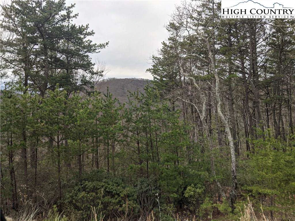 Image number 7 for the current listing