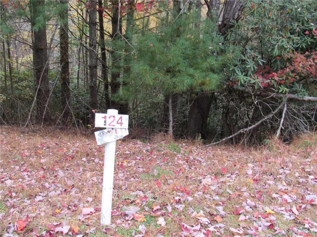 Image number 3 for the current listing