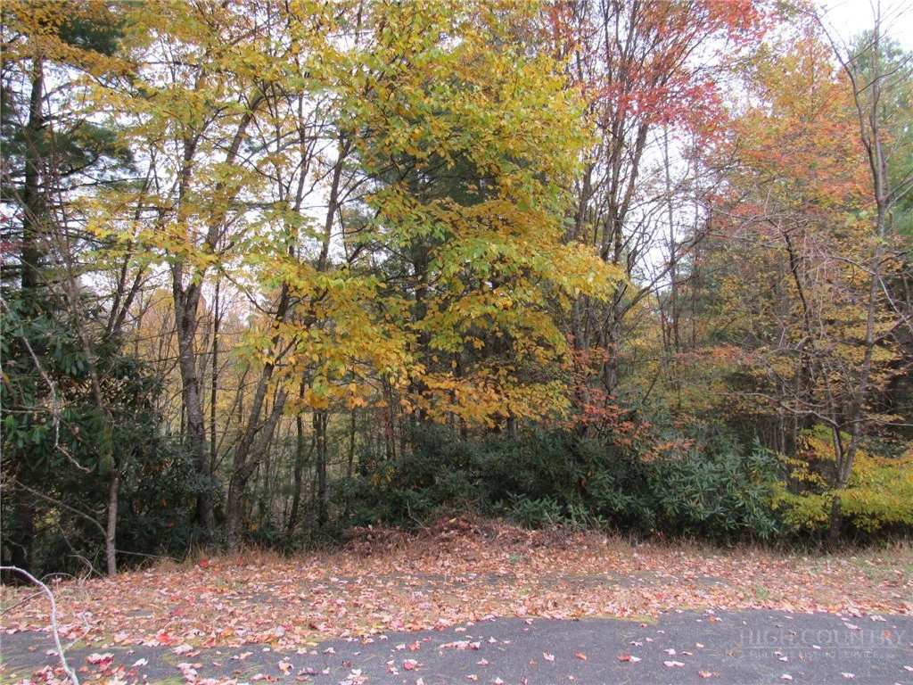 Image number 4 for the current listing