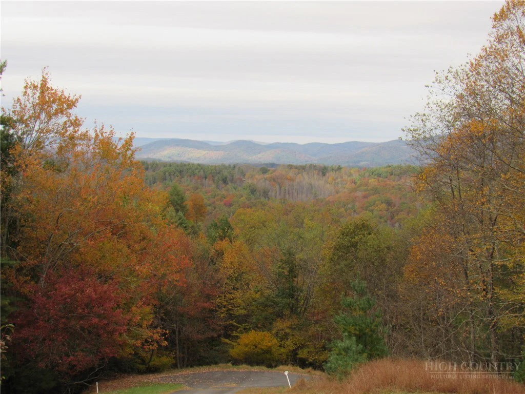 Image number 5 for the current listing