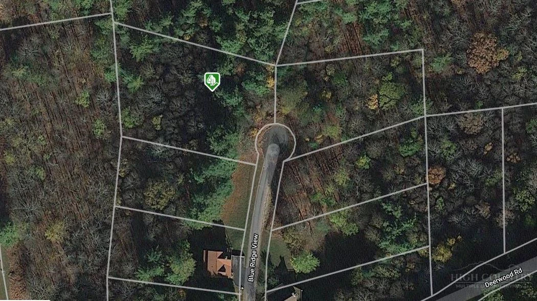 Image number 6 for the current listing