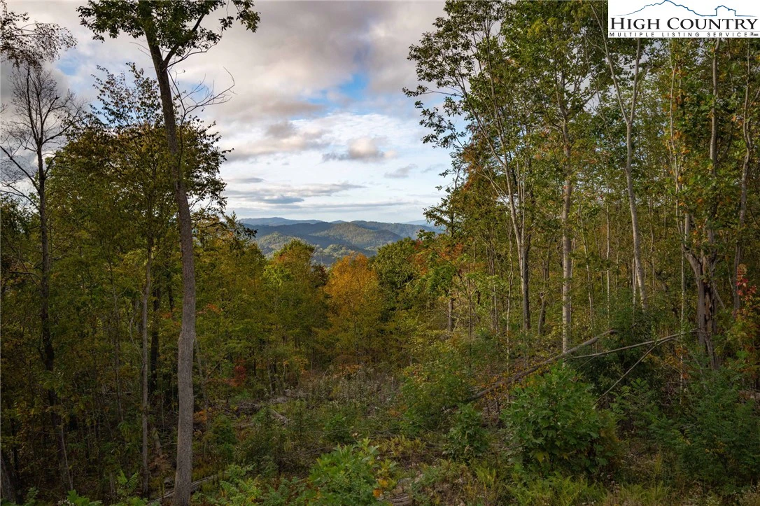 Image number 4 for the current listing