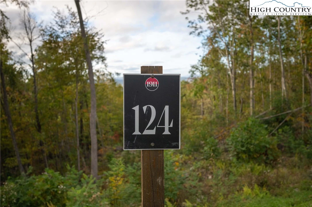 Image number 3 for the current listing