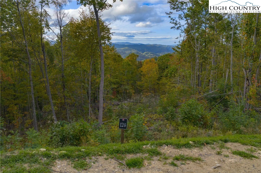 Image number 1 for the current listing
