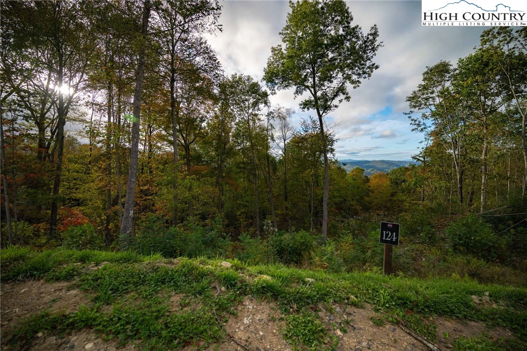 Image number 7 for the current listing