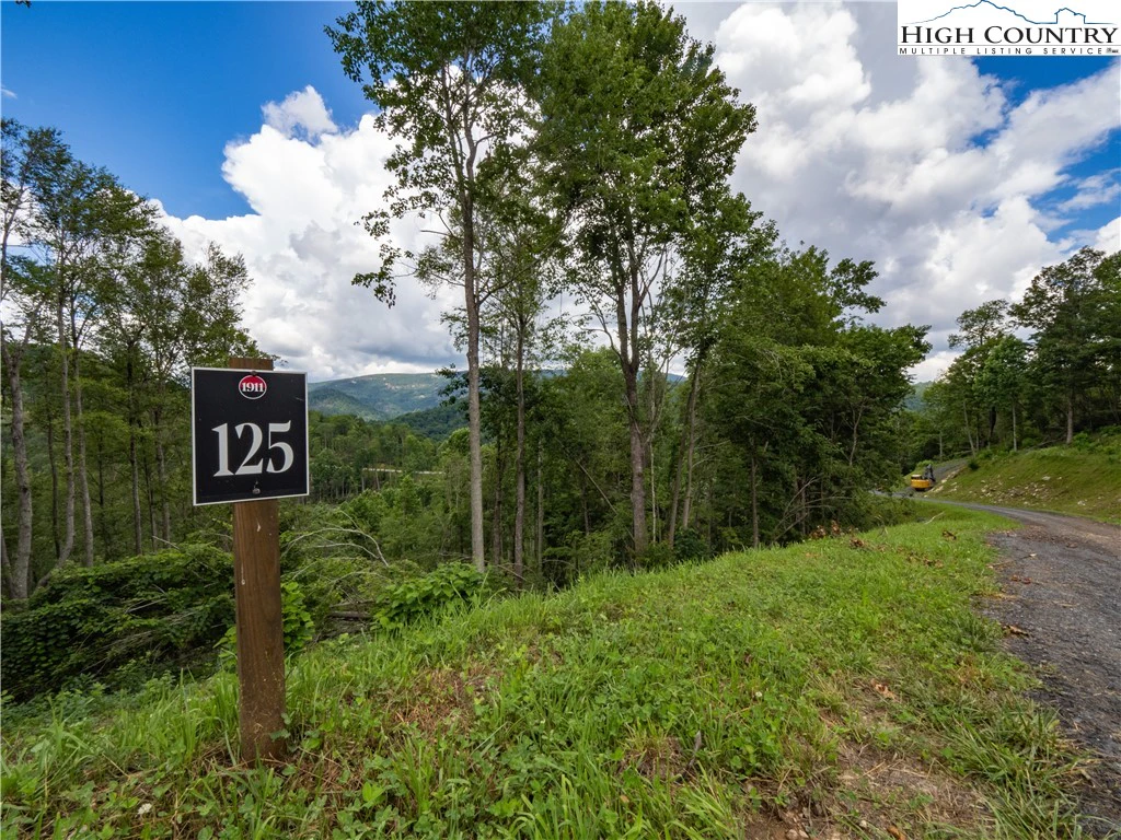 Image number 1 for the current listing