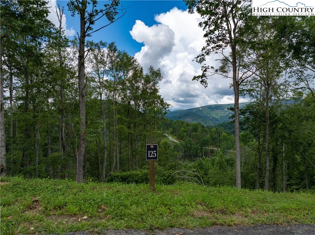 Image number 3 for the current listing