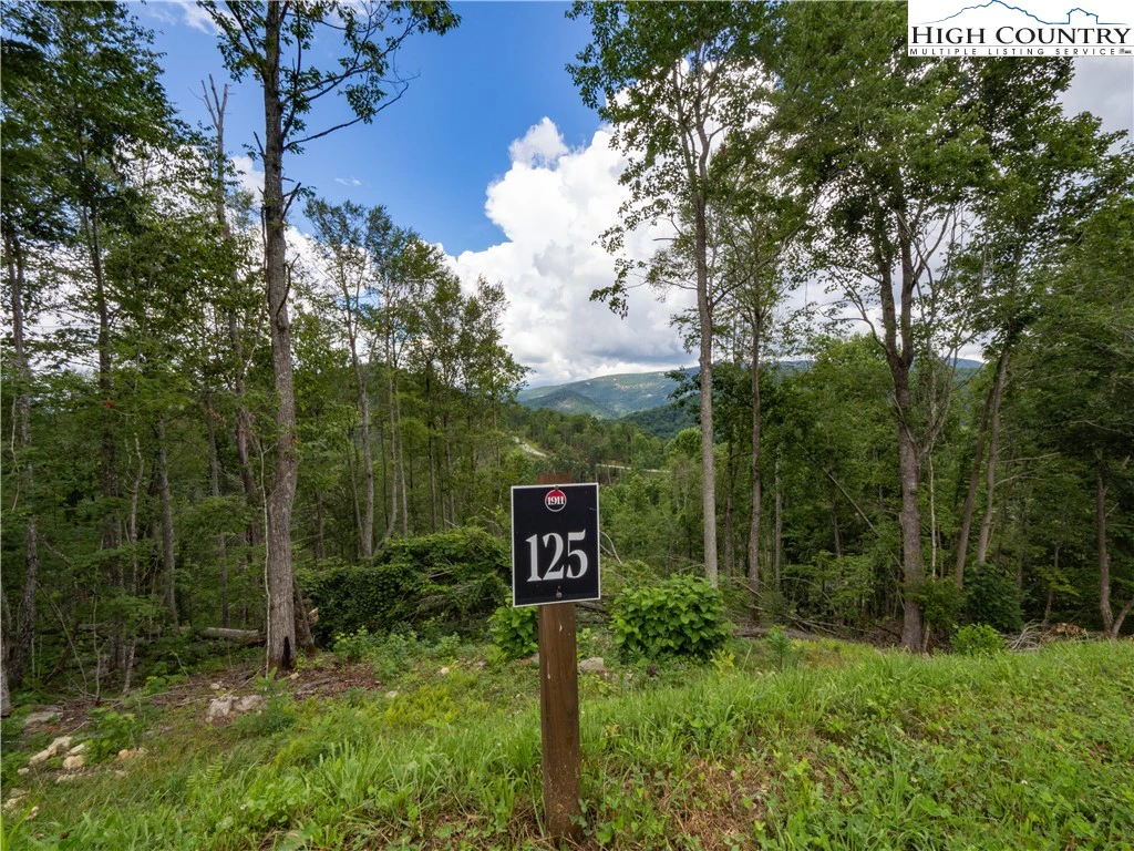 Image number 6 for the current listing