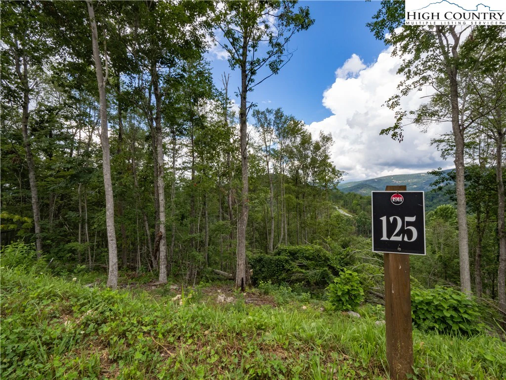 Image number 7 for the current listing