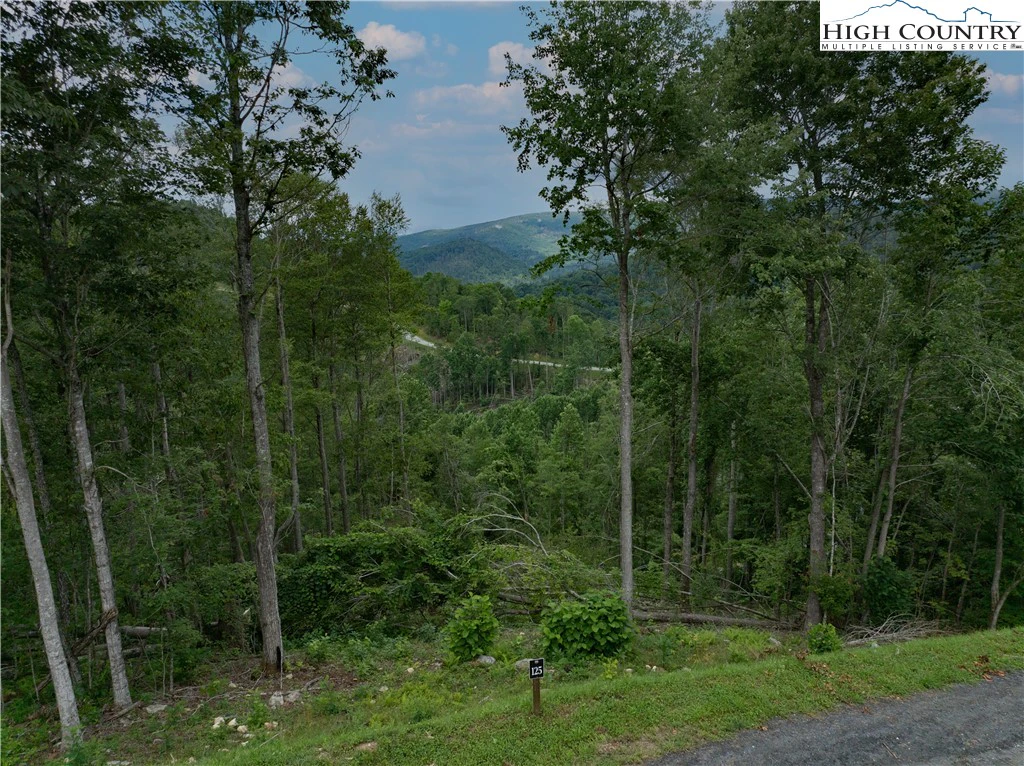 Image number 9 for the current listing