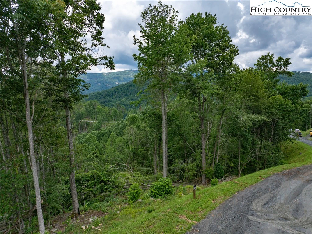 Image number 14 for the current listing