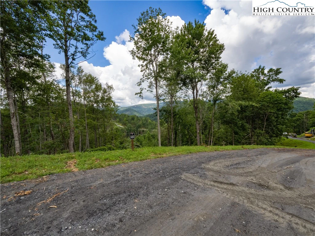 Image number 16 for the current listing