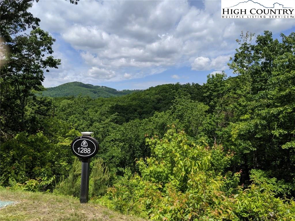 Image number 1 for the current listing