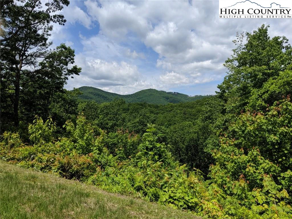 Image number 5 for the current listing