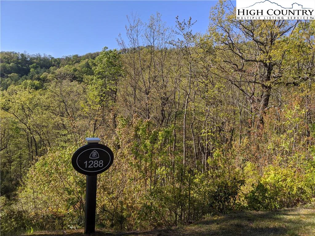 Image number 7 for the current listing
