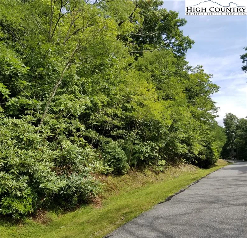 Image number 3 for the current listing