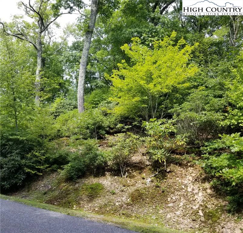 Image number 5 for the current listing