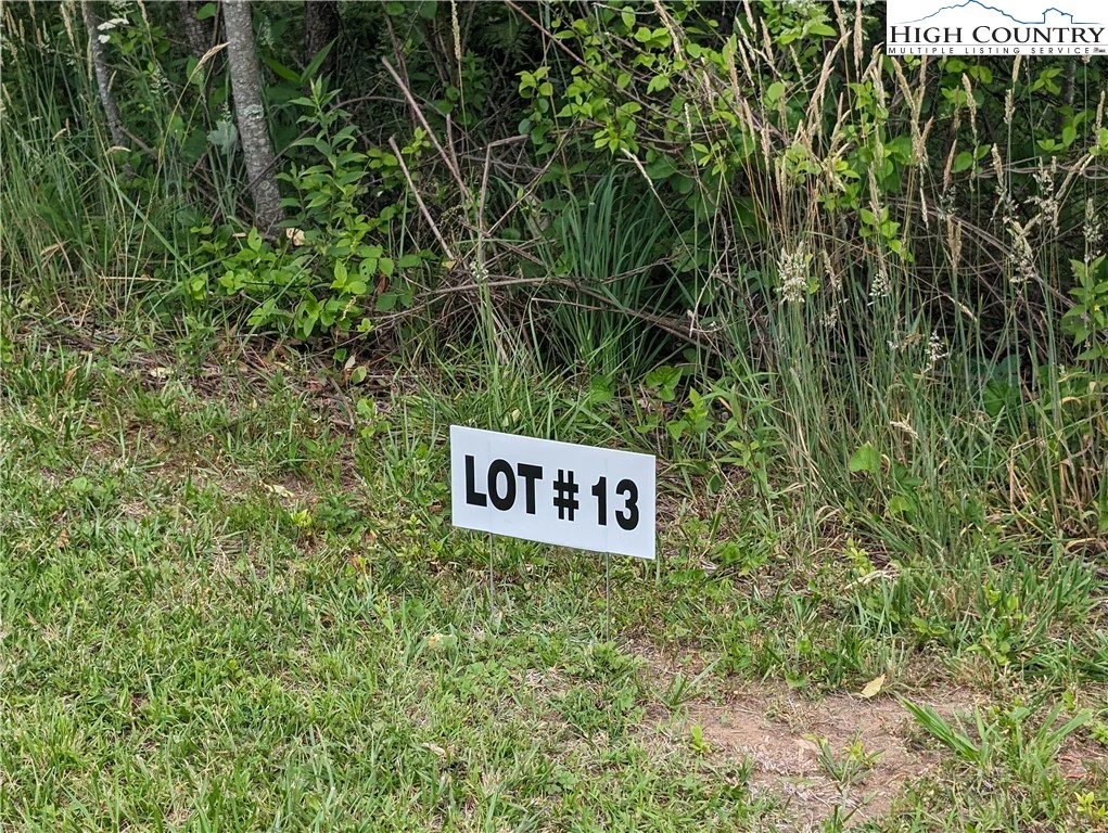 Image number 1 for the current listing
