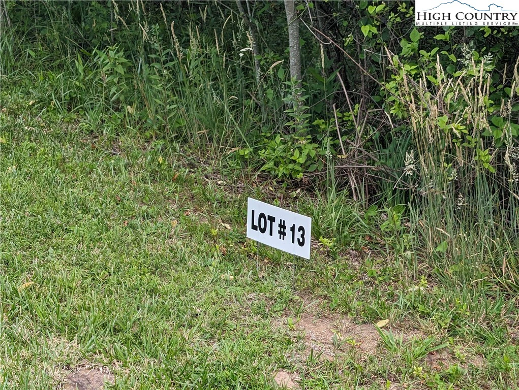 Image number 2 for the current listing