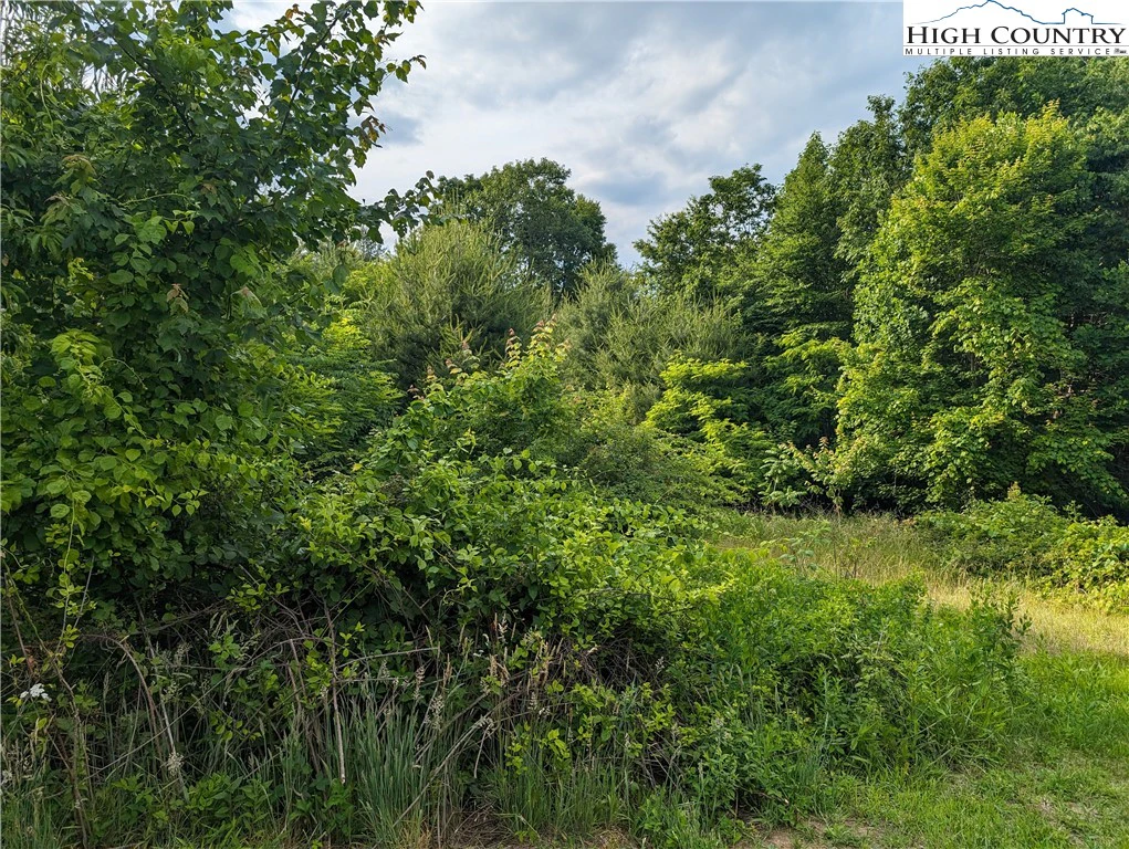 Image number 5 for the current listing